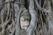Bangkok - Khao Yai - Ayutthaya - head of bouddha